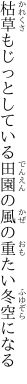 枯草もじっとしている田園の 風の重たい冬空になる