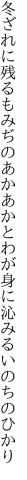 冬ざれに残るもみぢのあかあかと わが身に沁みるいのちのひかり