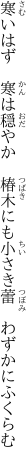 寒いはず　寒は穏やか　椿木にも 小さき蕾　わずかにふくらむ