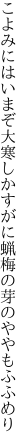 こよみにはいまぞ大寒しかすがに 蝋梅の芽のややもふふめり