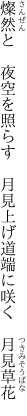 燦然と　夜空を照らす　月見上げ 道端に咲く　月見草花