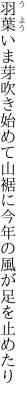 羽葉いま芽吹き始めて山裾に 今年の風が足を止めたり