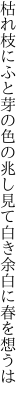 枯れ枝にふと芽の色の兆し見て 白き余白に春を想うは