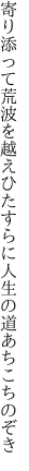 寄り添って荒波を越えひたすらに 人生の道あちこちのぞき