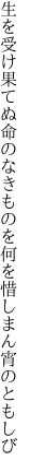 生を受け果てぬ命のなきものを 何を惜しまん宵のともしび