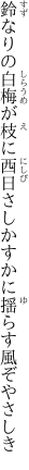 鈴なりの白梅が枝に西日さし かすかに揺らす風ぞやさしき