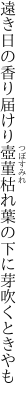 遠き日の香り届けり壺菫 枯れ葉の下に芽吹くときやも