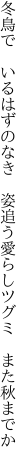 冬鳥で　いるはずのなき　姿追う 愛らしツグミ　また秋までか
