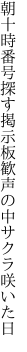 朝十時番号探す掲示板 歓声の中サクラ咲いた日