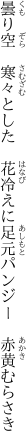 曇り空　寒々とした　花冷えに 足元パンジー　赤黄むらさき