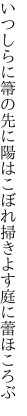いつしらに箒の先に陽はこぼれ 掃きよす庭に蕾ほころぶ