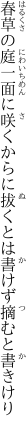 春草の庭一面に咲くからに 拔くとは書けず摘むと書きけり
