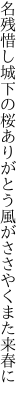 名残惜し城下の桜ありがとう 風がささやくまた来春に