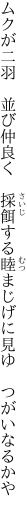 ムクが二羽　並び仲良く　採餌する 睦まじげに見ゆ　つがいなるかや