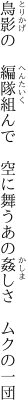 鳥影の　編隊組んで　空に舞う あの姦しさ　ムクの一団