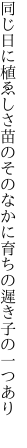 同じ日に植ゑしさ苗のそのなかに 育ちの遲き子の一つあり 