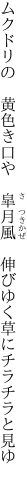 ムクドリの　黄色き口や　皐月風 　伸びゆく草にチラチラと見ゆ