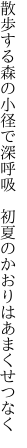 散歩する森の小径で深呼吸　 初夏のかおりはあまくせつなく
