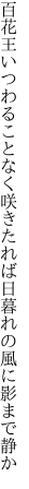 百花王いつわることなく咲きたれば 日暮れの風に影まで静か