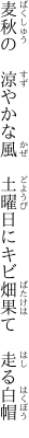 麦秋の　涼やかな風　土曜日に キビ畑果て　走る白帽