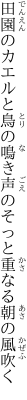 田園のカエルと鳥の鳴き声の そっと重なる朝の風吹く