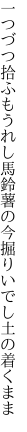 一つづつ拾ふもうれし馬鈴薯の 今掘りいでし土の着くまま