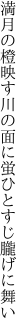 満月の橙映す川の面に 蛍ひとすじ朧げに舞い