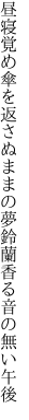 昼寝覚め傘を返さぬままの夢 鈴蘭香る音の無い午後