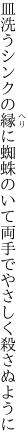 皿洗うシンクの縁に蜘蛛のいて 両手でやさしく殺さぬように