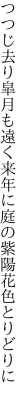 つつじ去り皐月も遠く来年に 庭の紫陽花色とりどりに　