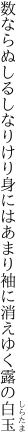 数ならぬしるしなりけり身にはあまり 袖に消えゆく露の白玉
