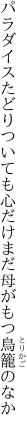パラダイスたどりついても心だけ まだ母がもつ鳥籠のなか