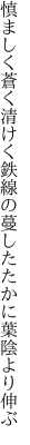 慎ましく蒼く清けく鉄線の 蔓したたかに葉陰より伸ぶ