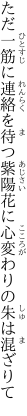 ただ一筋に連絡を待つ紫陽花に 心変わりの朱は混ざりて