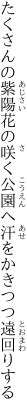 たくさんの紫陽花の咲く公園へ 汗をかきつつ遠回りする