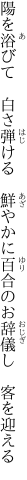 陽を浴びて　白さ弾ける　鮮やかに 百合のお辞儀し　客を迎える