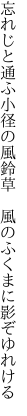 忘れじと通ふ小径の風鈴草  風のふくまに影ぞゆれける