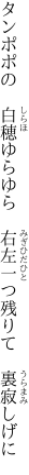タンポポの　白穂ゆらゆら　右左 一つ残りて　裏寂しげに