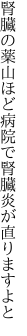 腎臓の薬山ほど病院で 腎臓炎が直りますよと
