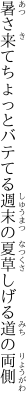 暑さ来てちょっとバテてる週末の 夏草しげる道の両側