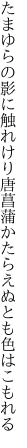 たまゆらの影に触れけり唐菖蒲 かたらえぬとも色はこもれる