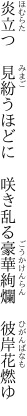 炎立つ　見紛うほどに　咲き乱る 豪華絢爛　彼岸花燃ゆ