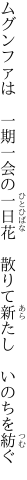 ムグンファは　一期一会の一日花　 散りて新たし　いのちを紡ぐ