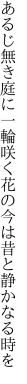 あるじ無き庭に一輪咲く花の 今は昔と静かなる時を