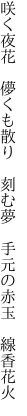 咲く夜花　儚くも散り　刻む夢 　手元の赤玉　線香花火