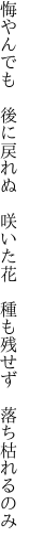 悔やんでも　後に戻れぬ　咲いた花 　種も残せず　落ち枯れるのみ