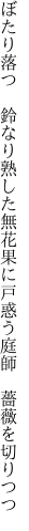 ぼたり落つ　鈴なり熟した無花果に 戸惑う庭師　薔薇を切りつつ