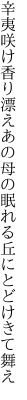 辛夷咲け香り漂えあの母の 眠れる丘にとどけきて舞え