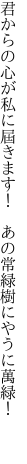 君からの心が私に屆きます！　 あの常緑樹にやうに萬緑！　　