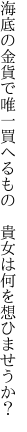 海底の金貨で唯一買へるもの　 貴女は何を想ひませうか？